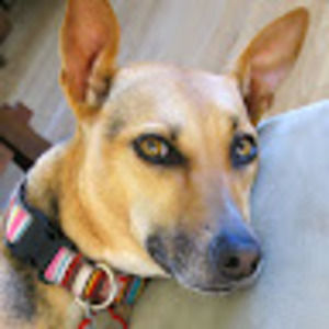 Meet your Posher, Lucy